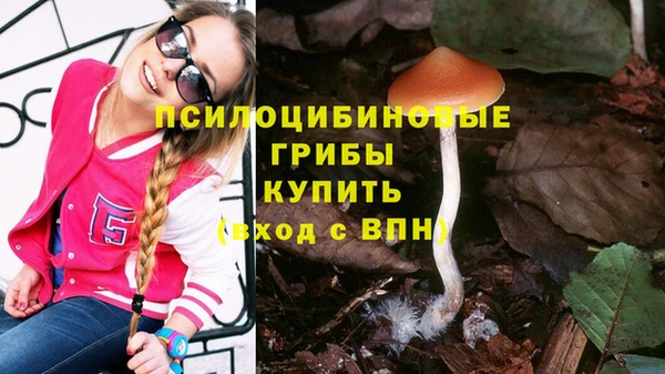 дурь Армянск